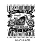 Iron-on Transfers for Clothing Thermoadhesive Patches on Clothes Stickers Diy Skull Patch Biker Flex Fusible Transfer Stripe - NATASHAHS